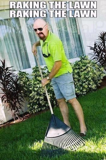 Where the leaves tho?