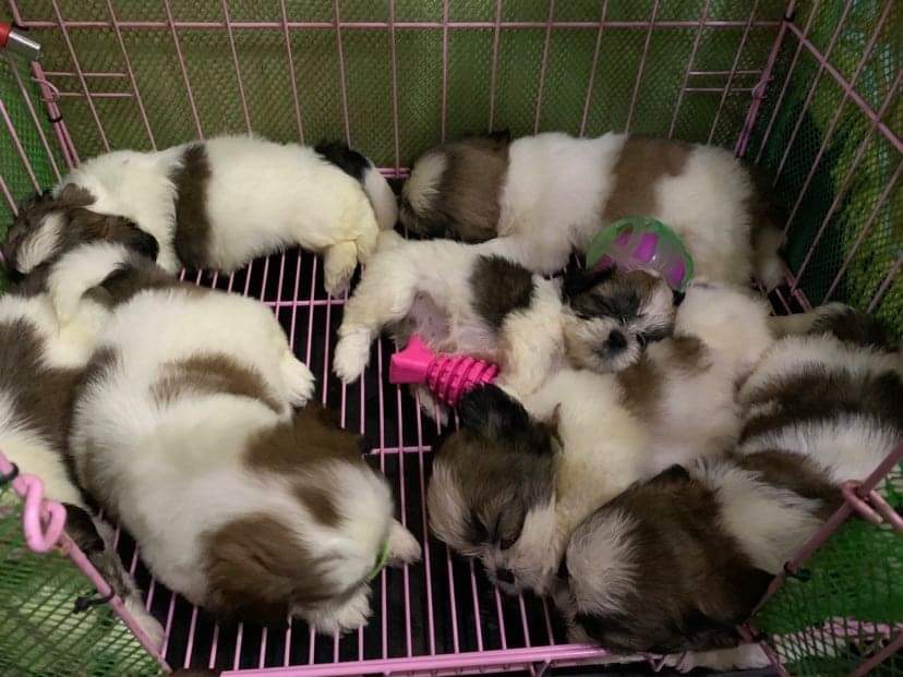Who wants to cuddle while sleeping?