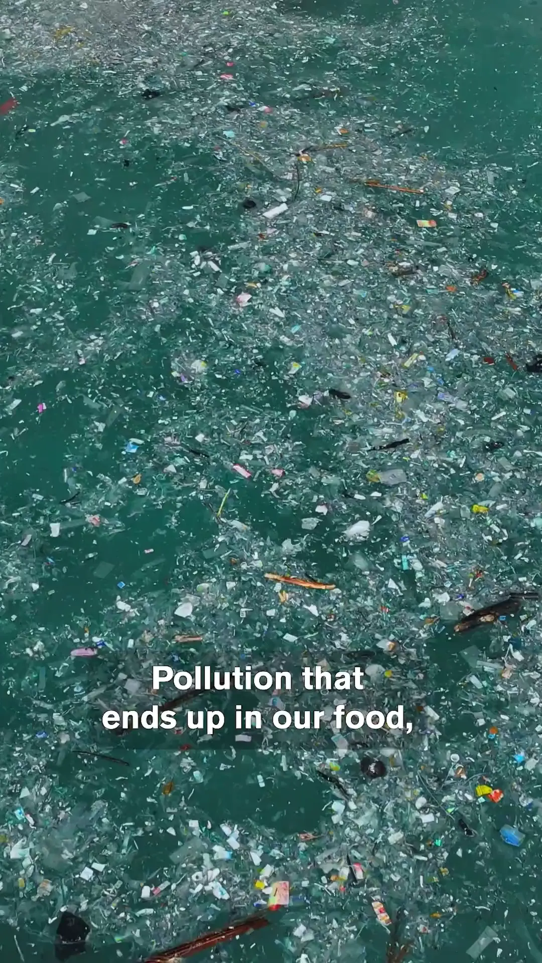 Why Food Pollution Demands Your Attention