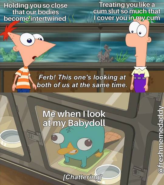 Why not both?! (Meme)