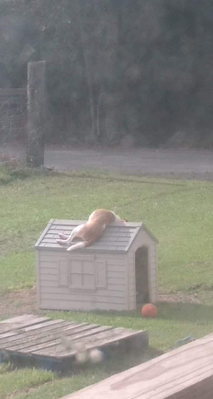 Woke up to her sleeping like this