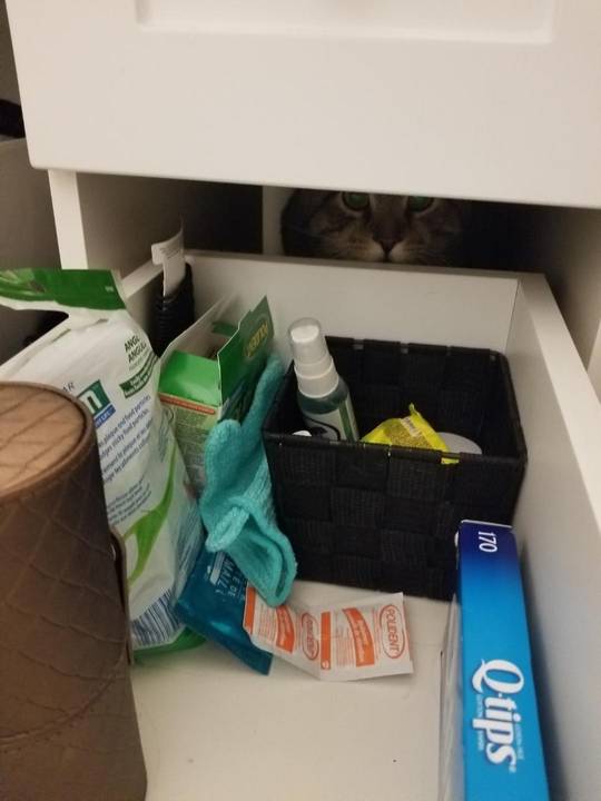 Wondering why the drawer wouldn’t close.