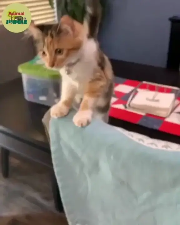 Woohoo! Good job! ❤