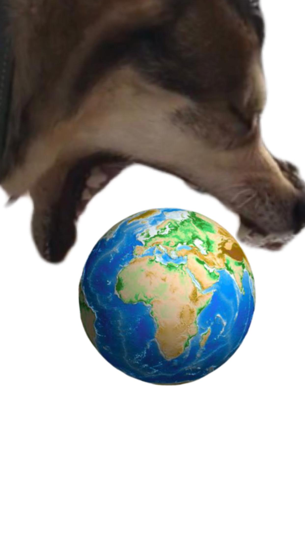 Shitposts World Discover more like Shitposts: World domination and Related Content ...