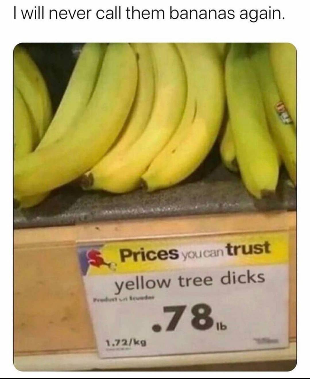 Yellow Tree Dicks