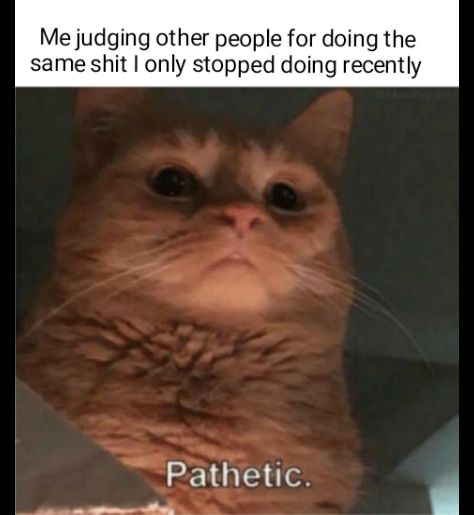 me_irl
