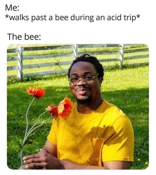 You know they know