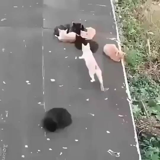 You look comfortable, lemme sit on you