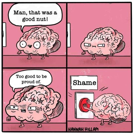 you will never be proud again