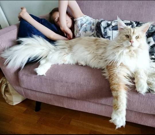 Young teen and her huge pussy lounging on the couch