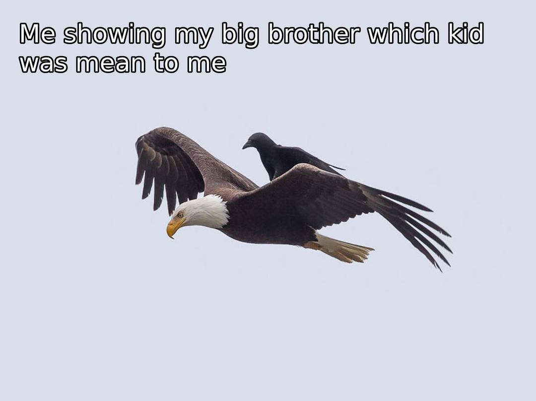 You're gonna get it now