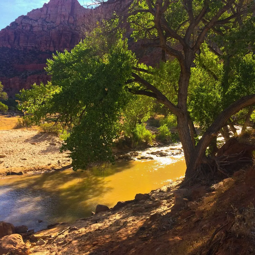 Zion National Park [OC] [3264 x 2448]