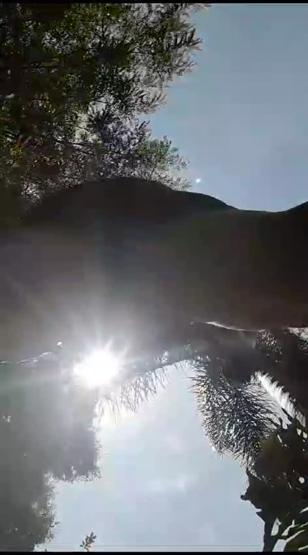 Feeling like a naughty MILF.. Sitting on the camera, playing with my pussy outside.