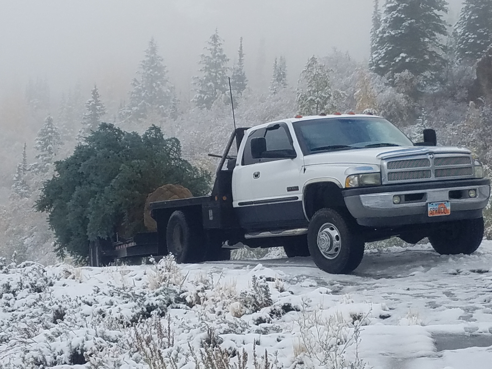 2002 dodge ram 3500 laramie slt 5 9 cummins turbo diesel w 6 speed