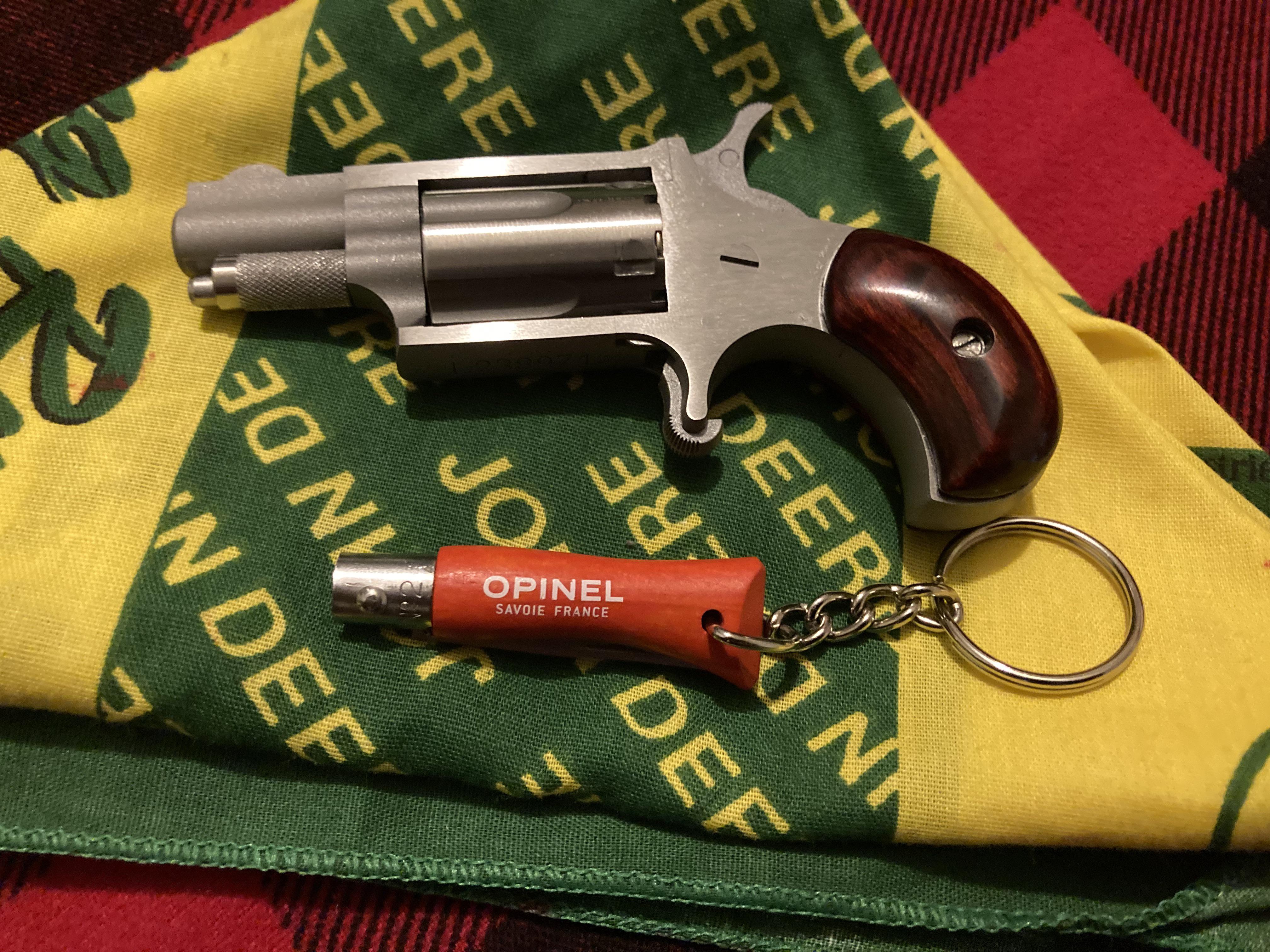 25 M Wheelgun Wednesday Carry In A Speedo Scrolller 25-m-wheelgun-wednesday-carry-in-a-speedo-scrolller