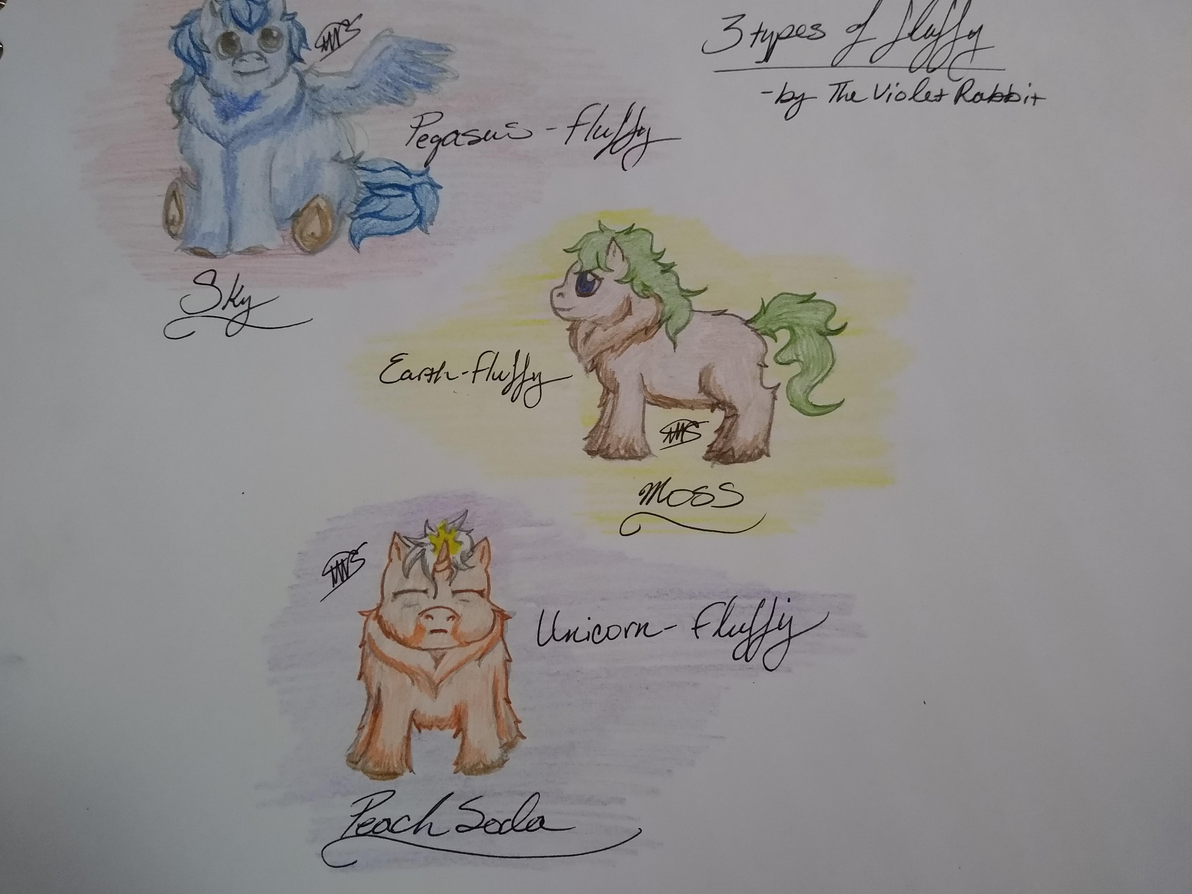 3 Types of Fluffies in Color Pencil (By The Violet Rabbit) | Scrolller