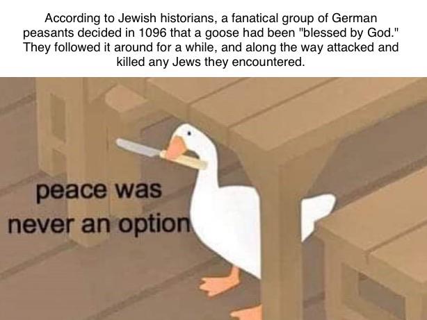 Ah yes, the goose crusade | Scrolller