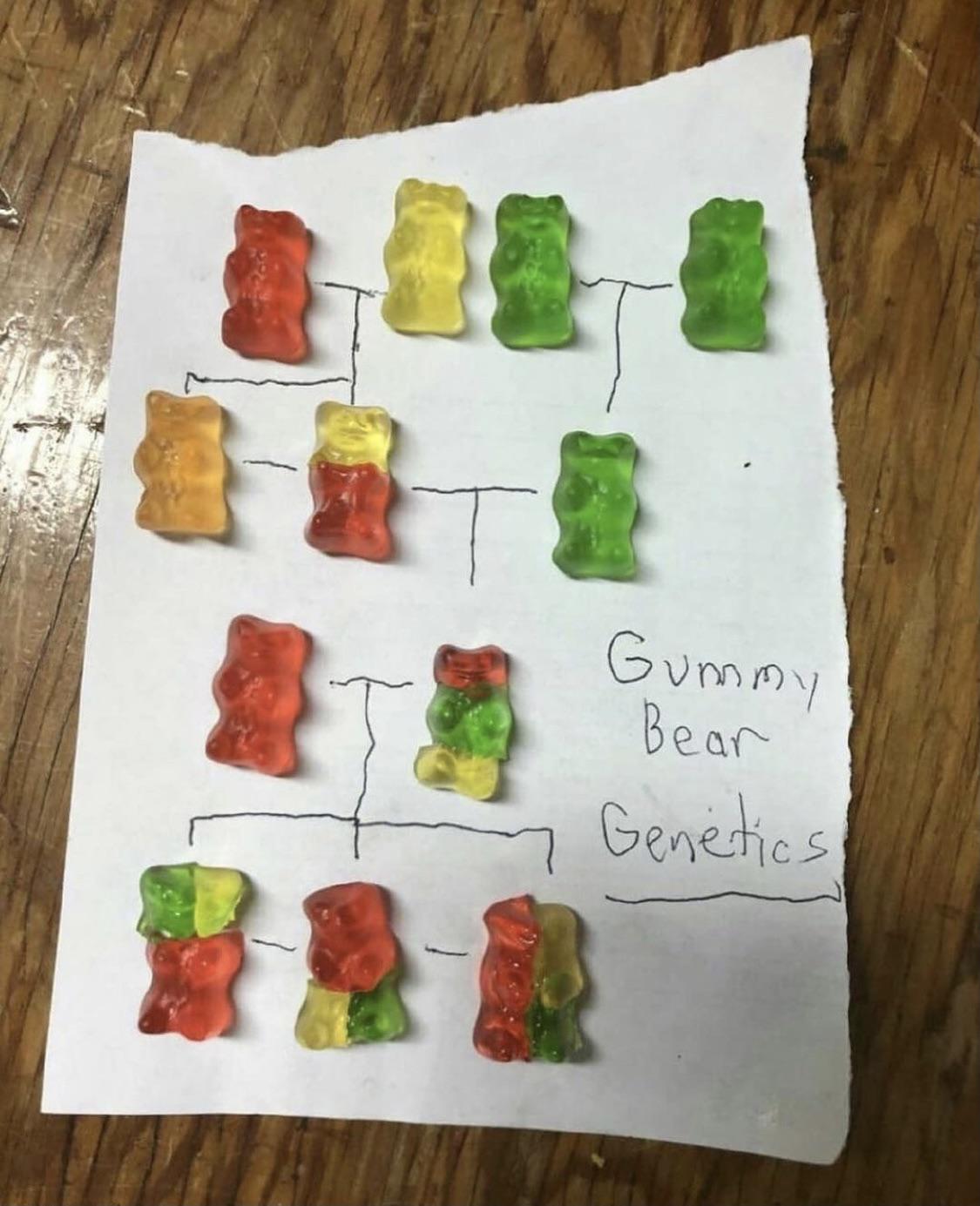 An explanation of using only gummy bears Scrolller