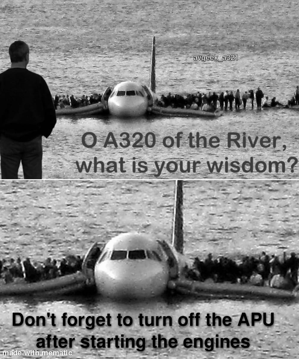 Another Flight 1549 meme (feat. aviation.memes__) | Scrolller