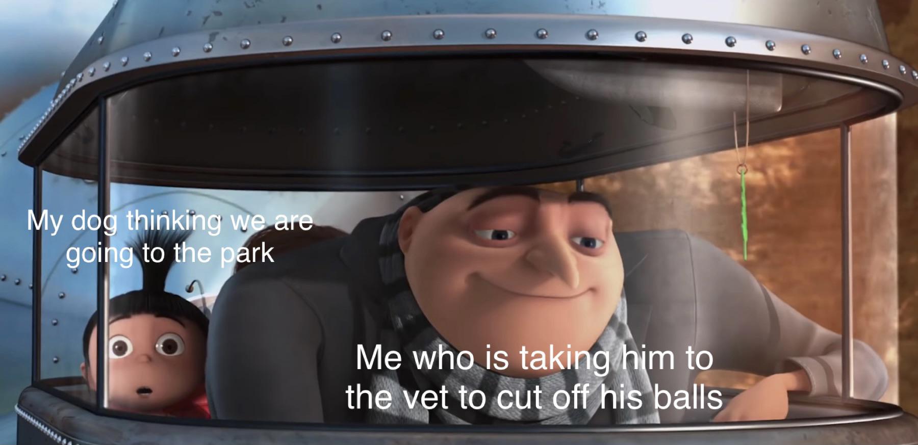Another potential Despicable Me meme template? Scrolller Another potential Despicable Me meme template? Scrolller