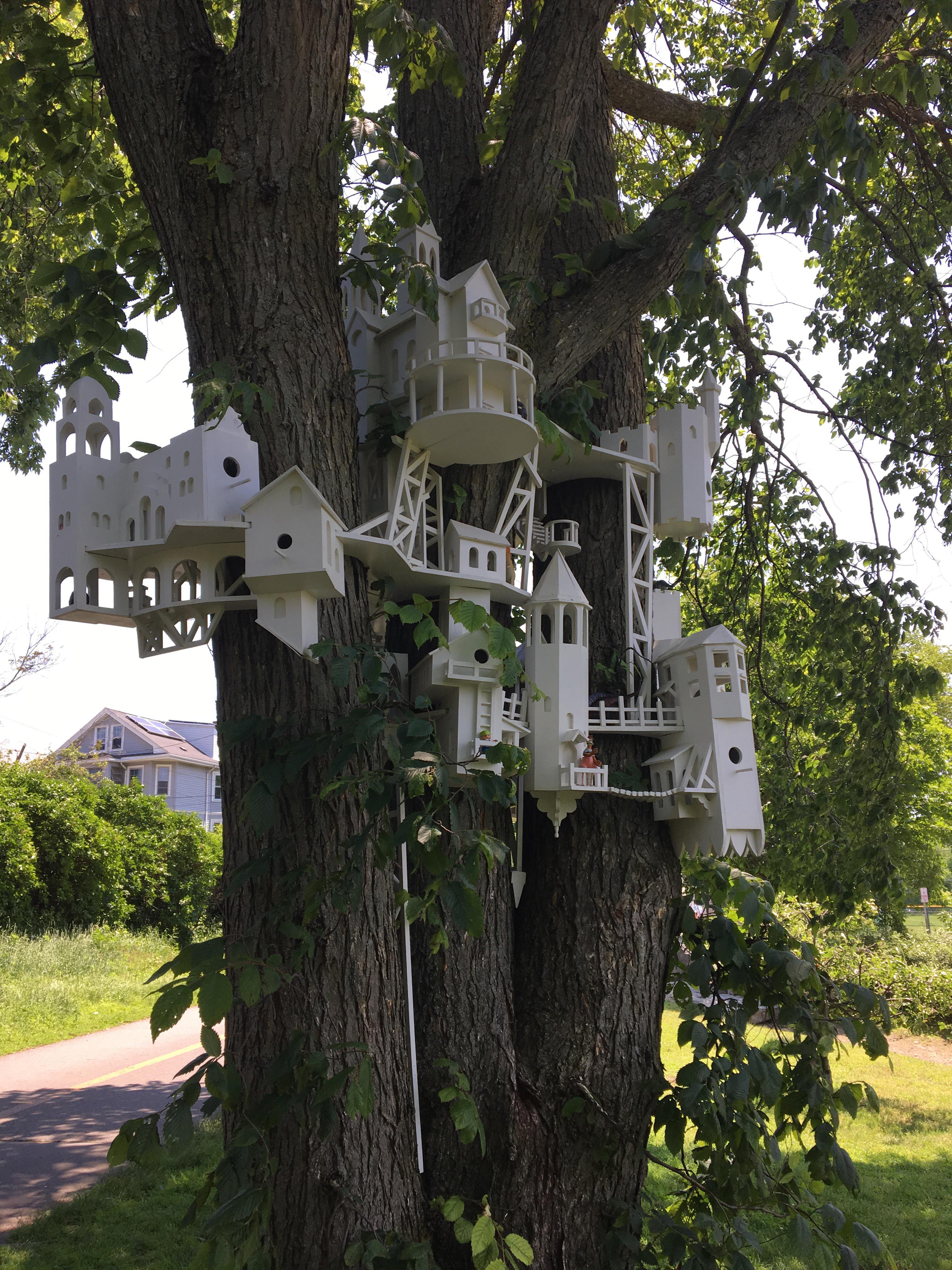 Arlington’s condos Scrolller