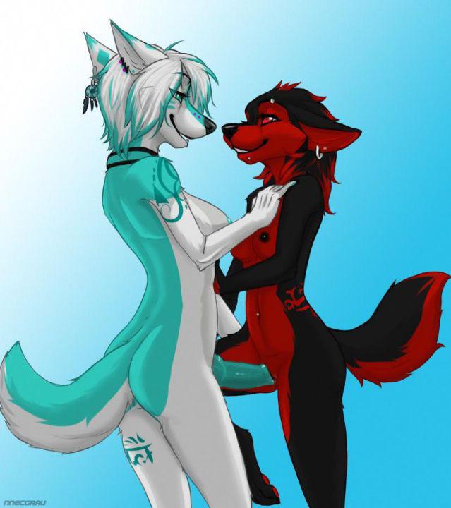 Zoe Furry Hentai