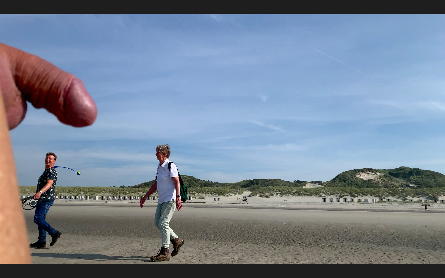 Beach CFNM - Nice little chat with some friendly dog walkers.