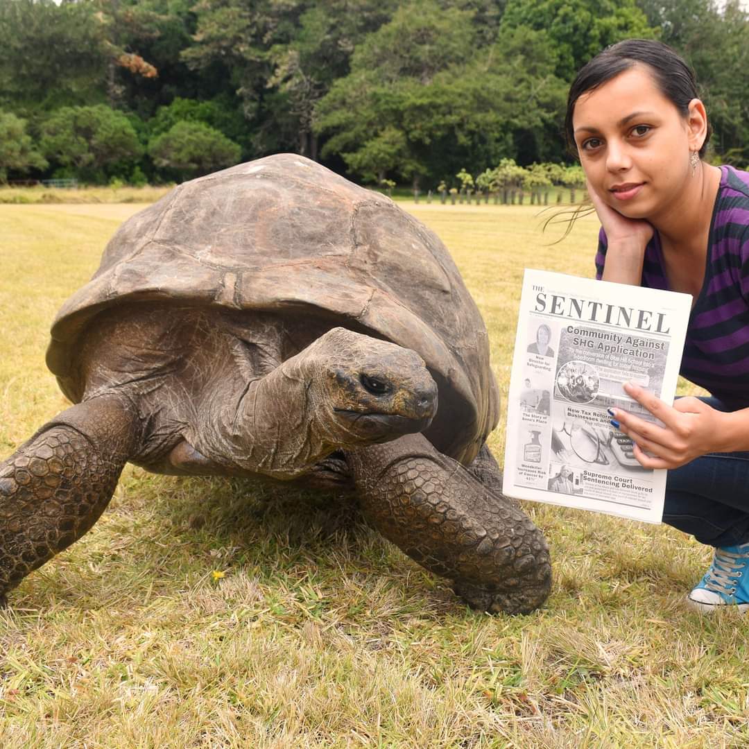 Behold Jonathan, the 188-year-old (1832 to present) Seychelles giant ...