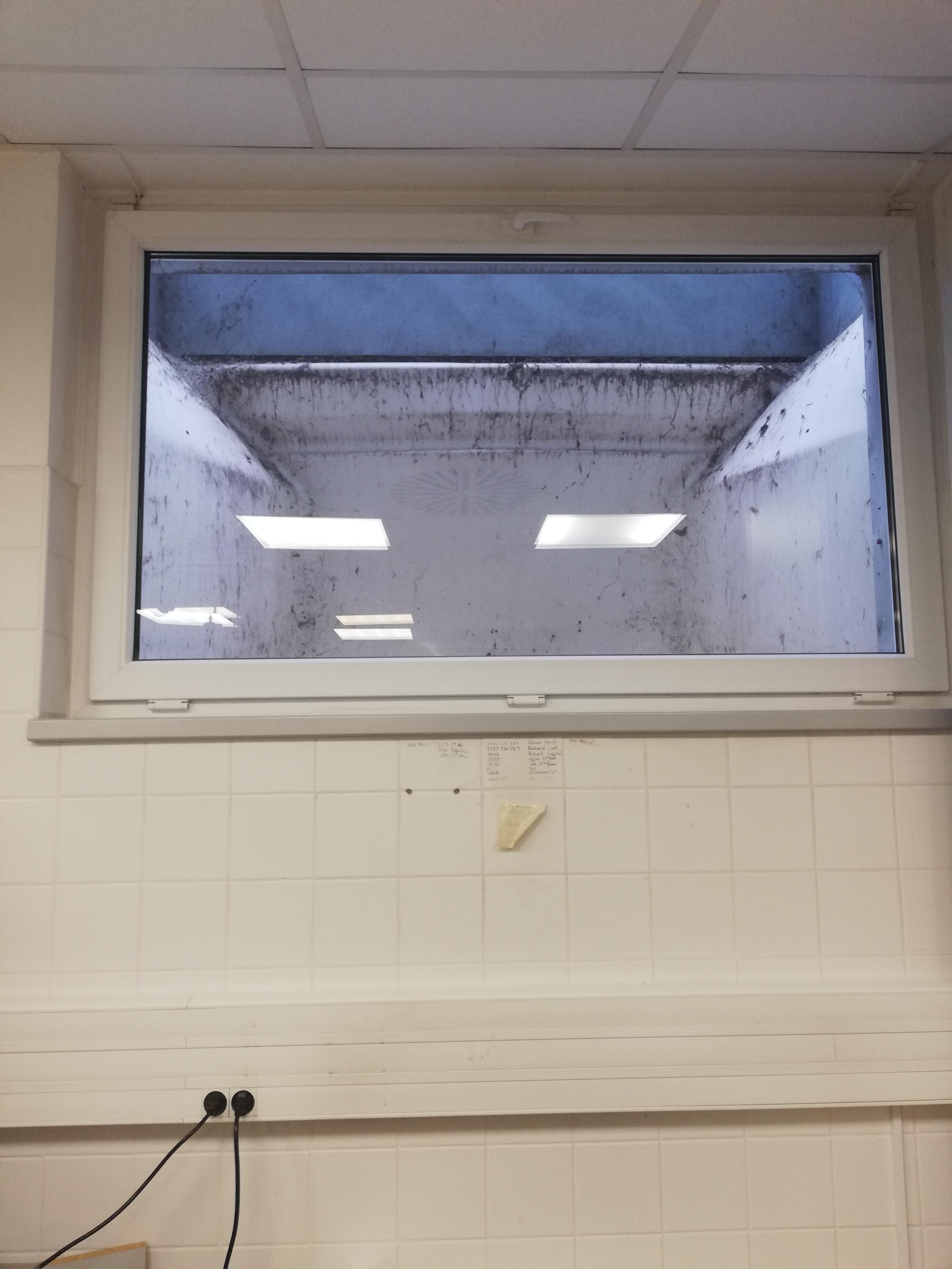 Behold the magnificent view from our lab's window. | Scrolller