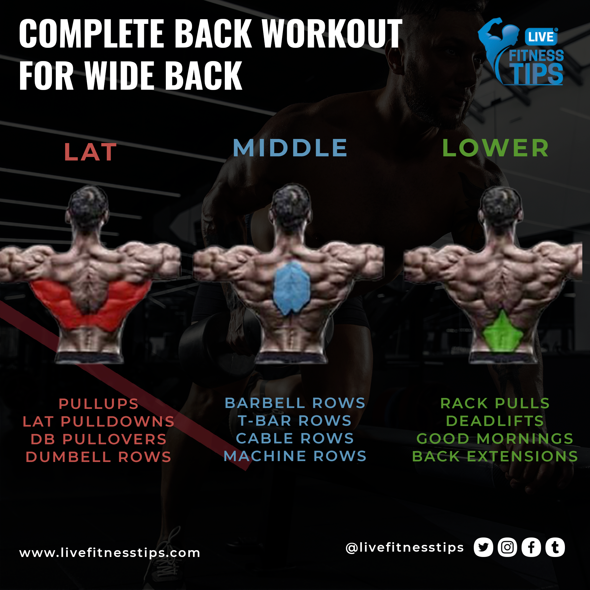 Best Exercises For Wider Back Scrolller Best Exercises For Wider Back Scrolller