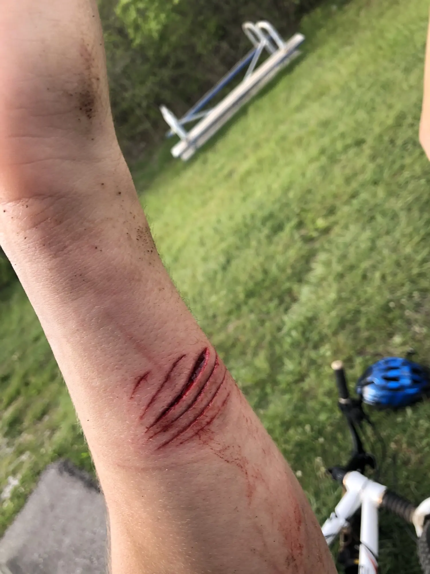 Bike Sprocket, don’t ask.