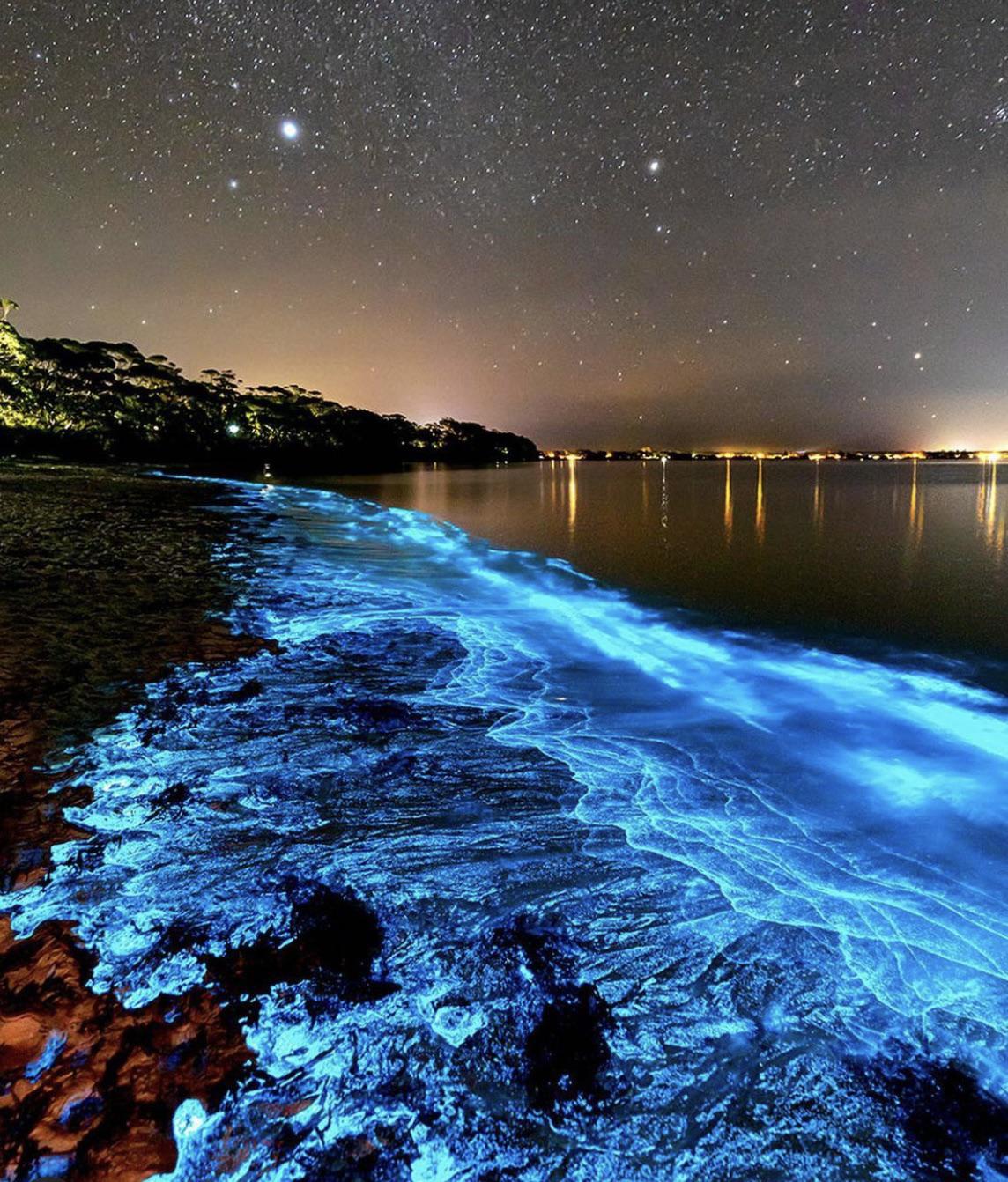 Bioluminescence Algae. Jervis Bay, Australia | Scrolller