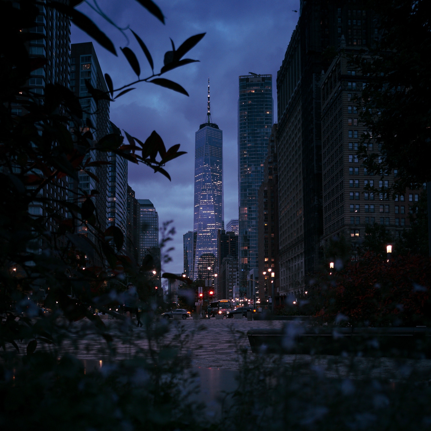 Bored waiting for my appointment at the DMV. Shot on p30 pro, edited