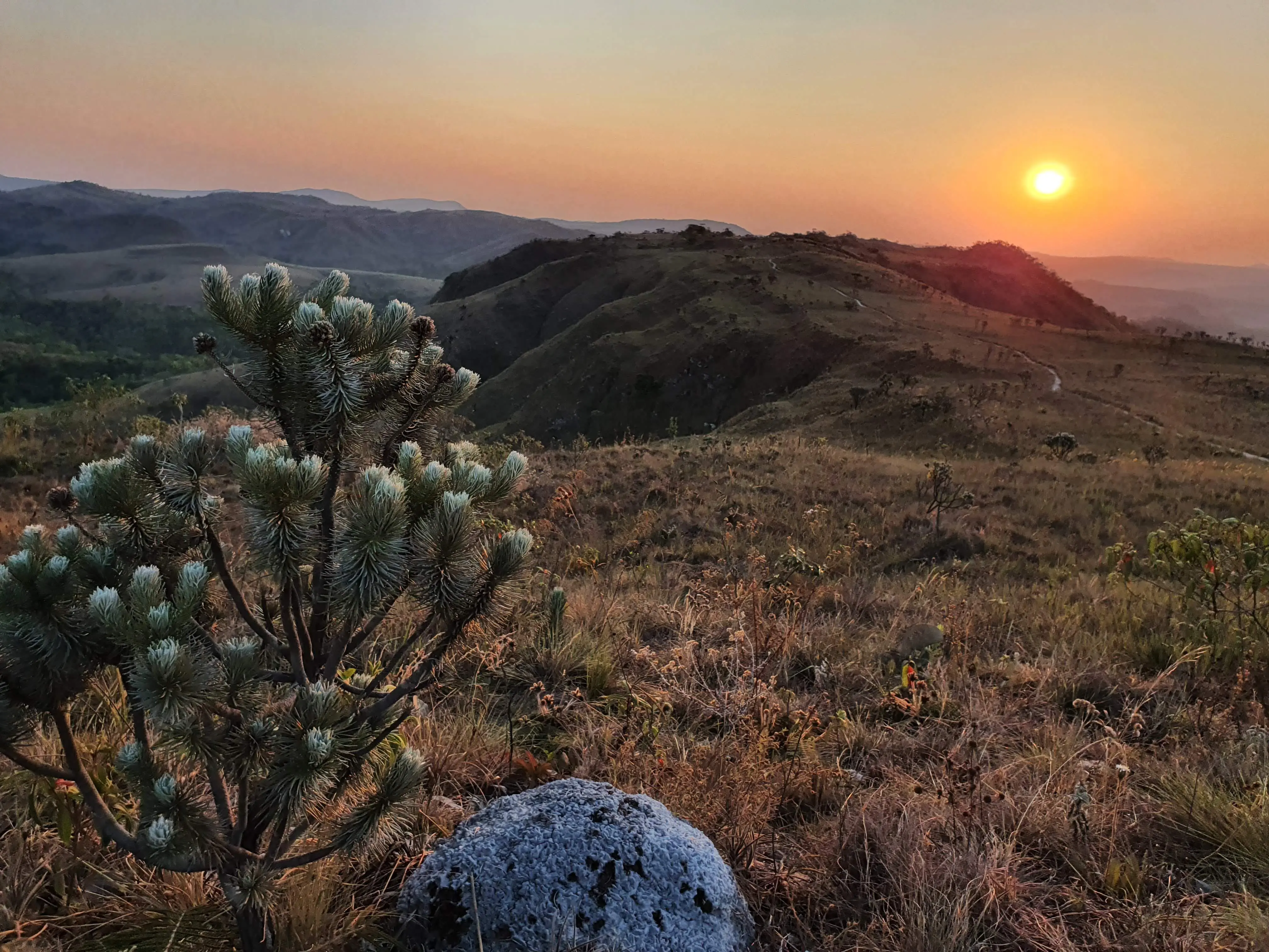 Brazilian Cerrado, Alto Paraíso Goiás - Brazil [OC] [4032x3024] | Scrolller