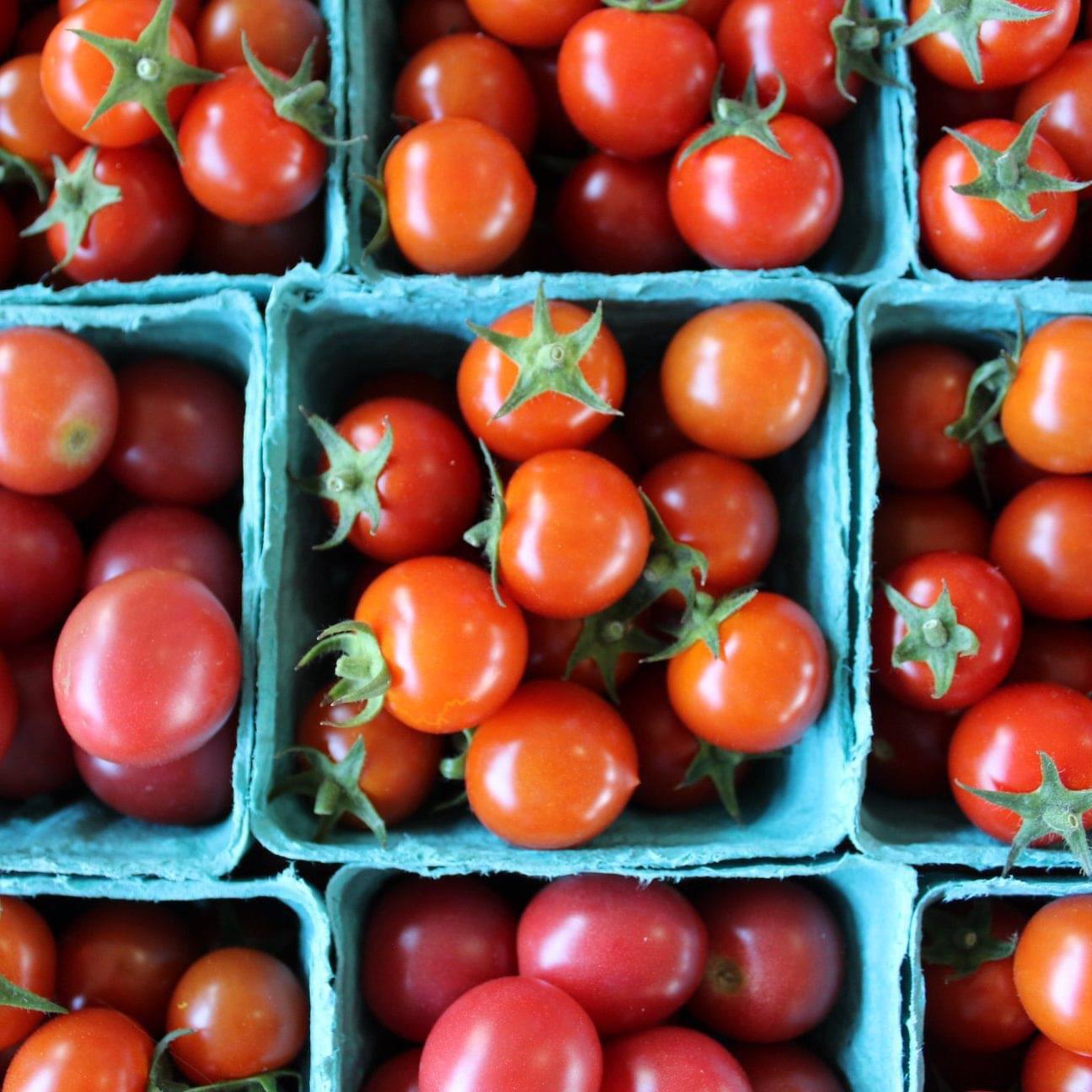 Breeze through the Kalamazoo Farmers Market (mini!) Thursday Market