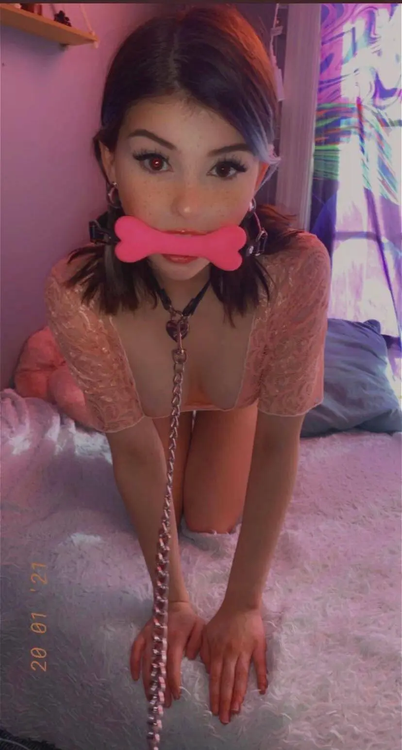 Will you play with me ?