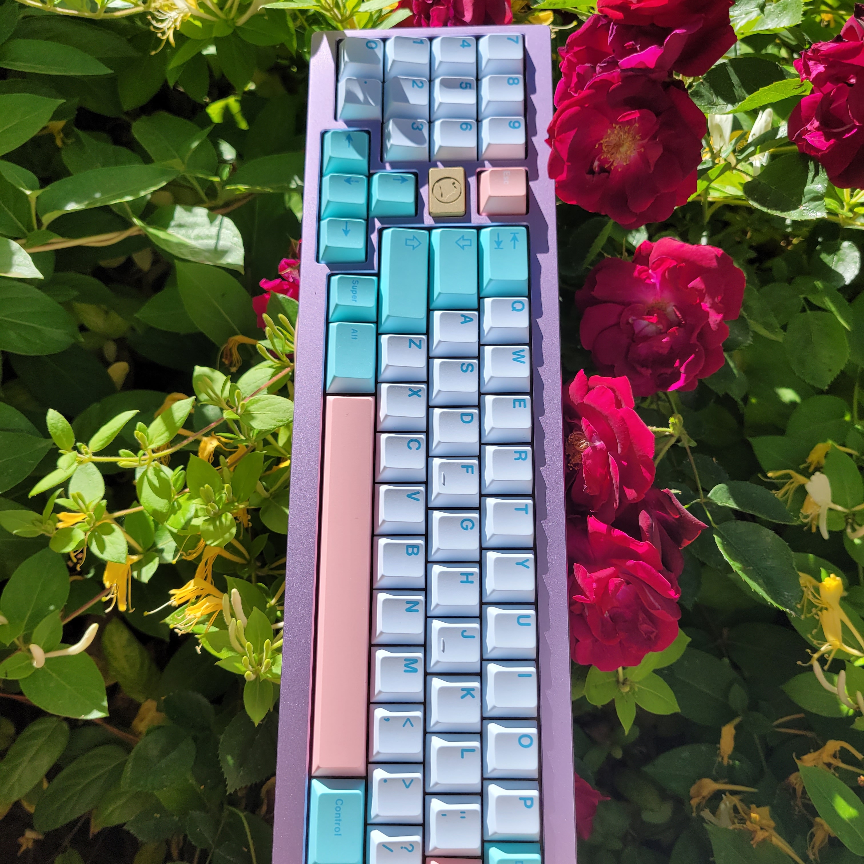 Clarabelle in the spring. | Scrolller