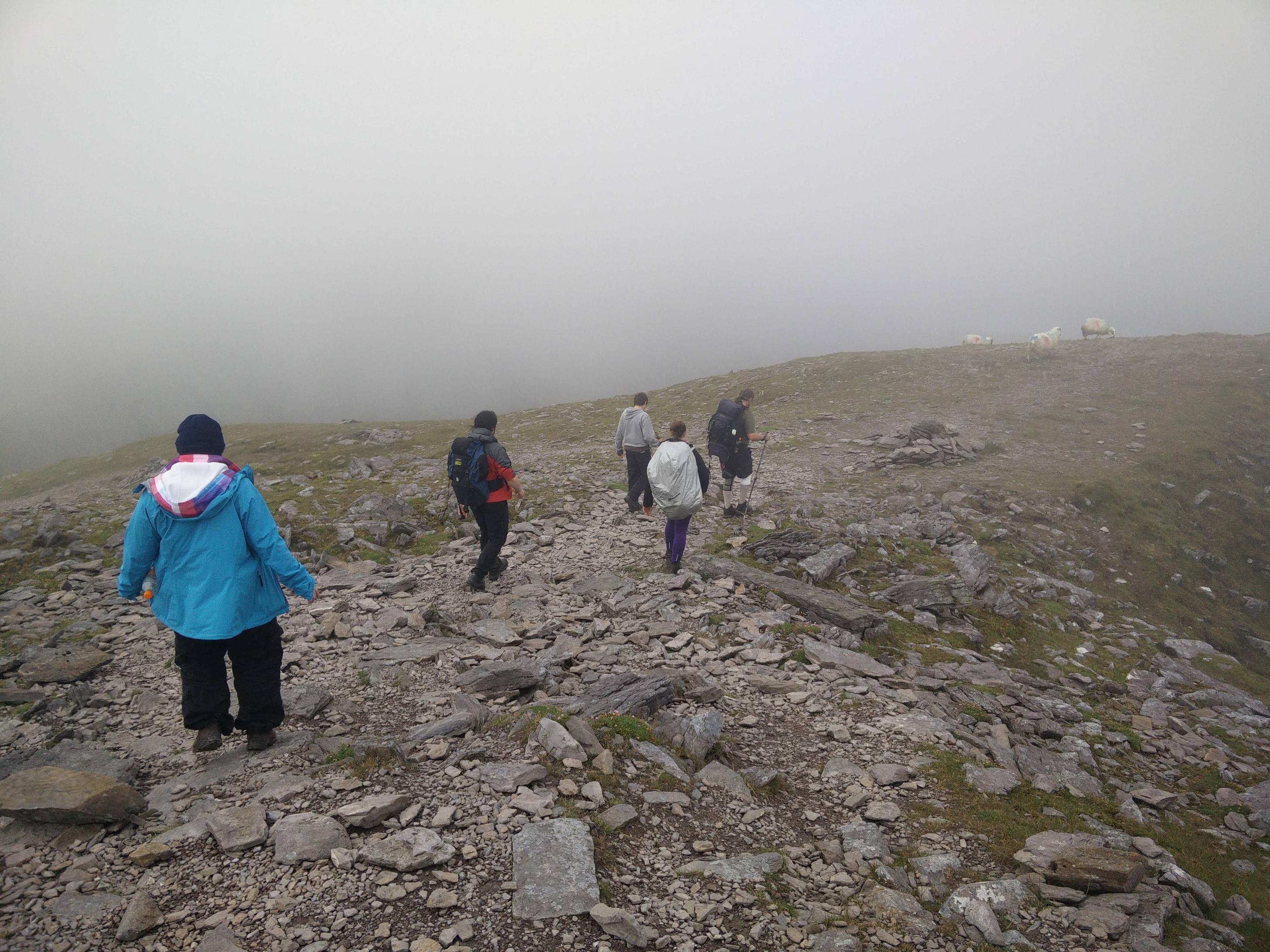 Climbing Ireland's highest mountain with other rovers Scrolller
