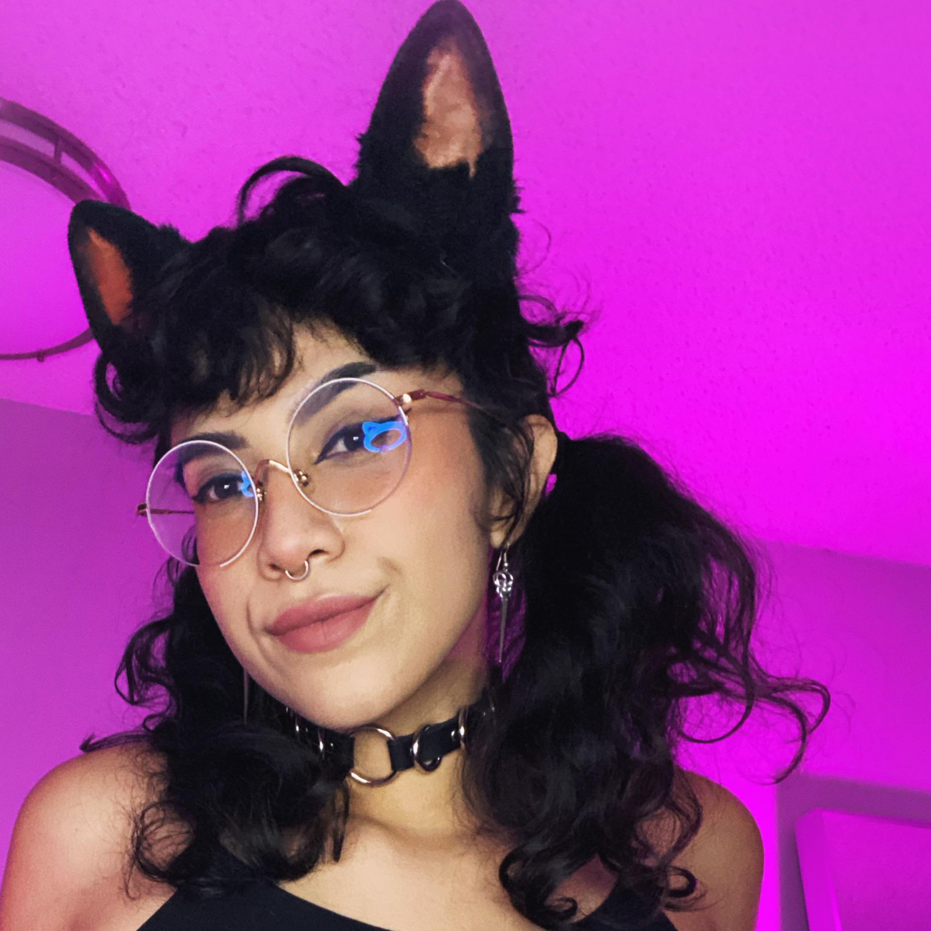 Collared cat 🐈‍⬛ 💕 Scrolller