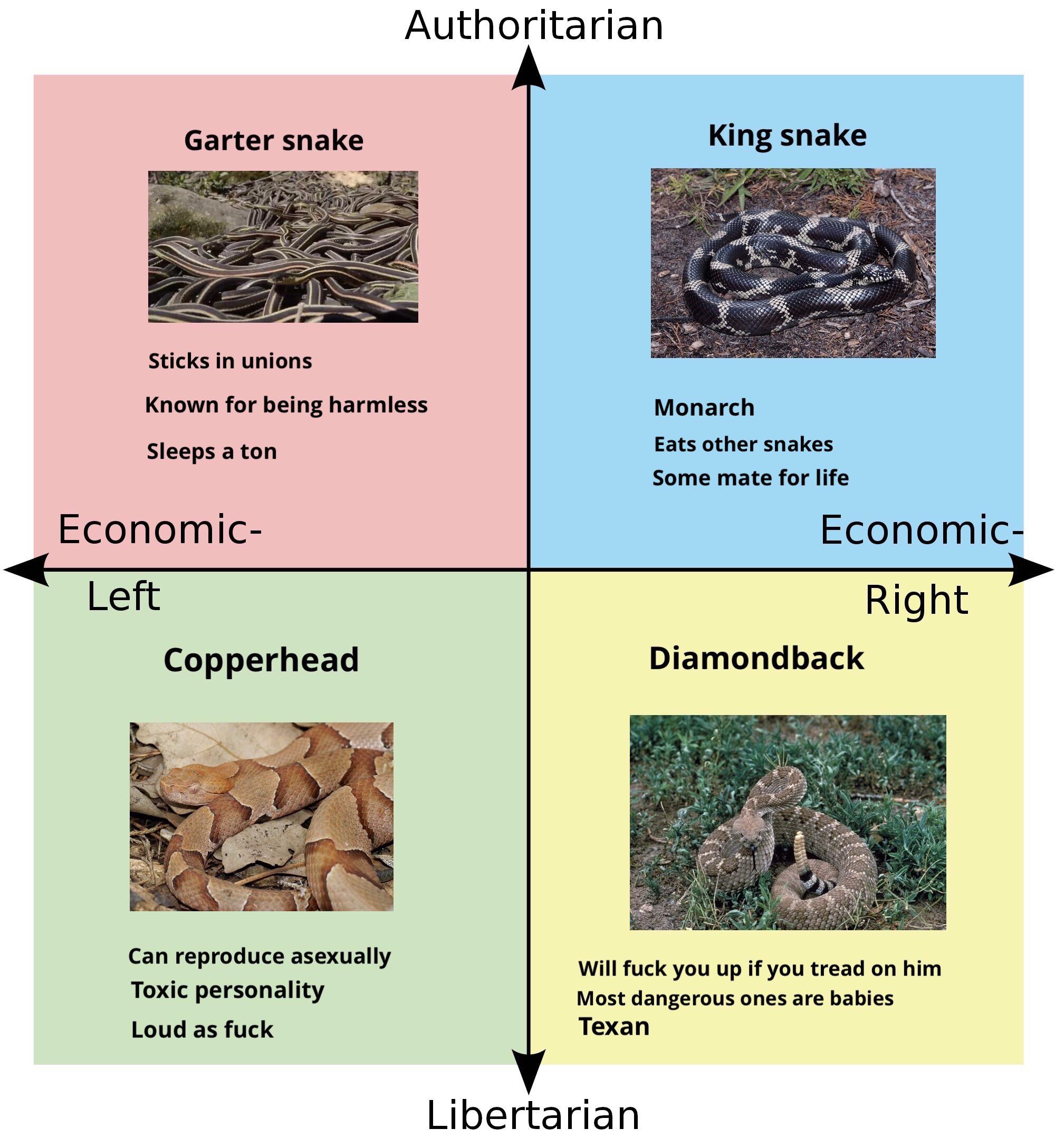 Compass of snakes | Scrolller