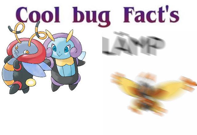 cool-bug-fact-for-every-fully-evolved-bug-type-pokemon-day-18-scrolller