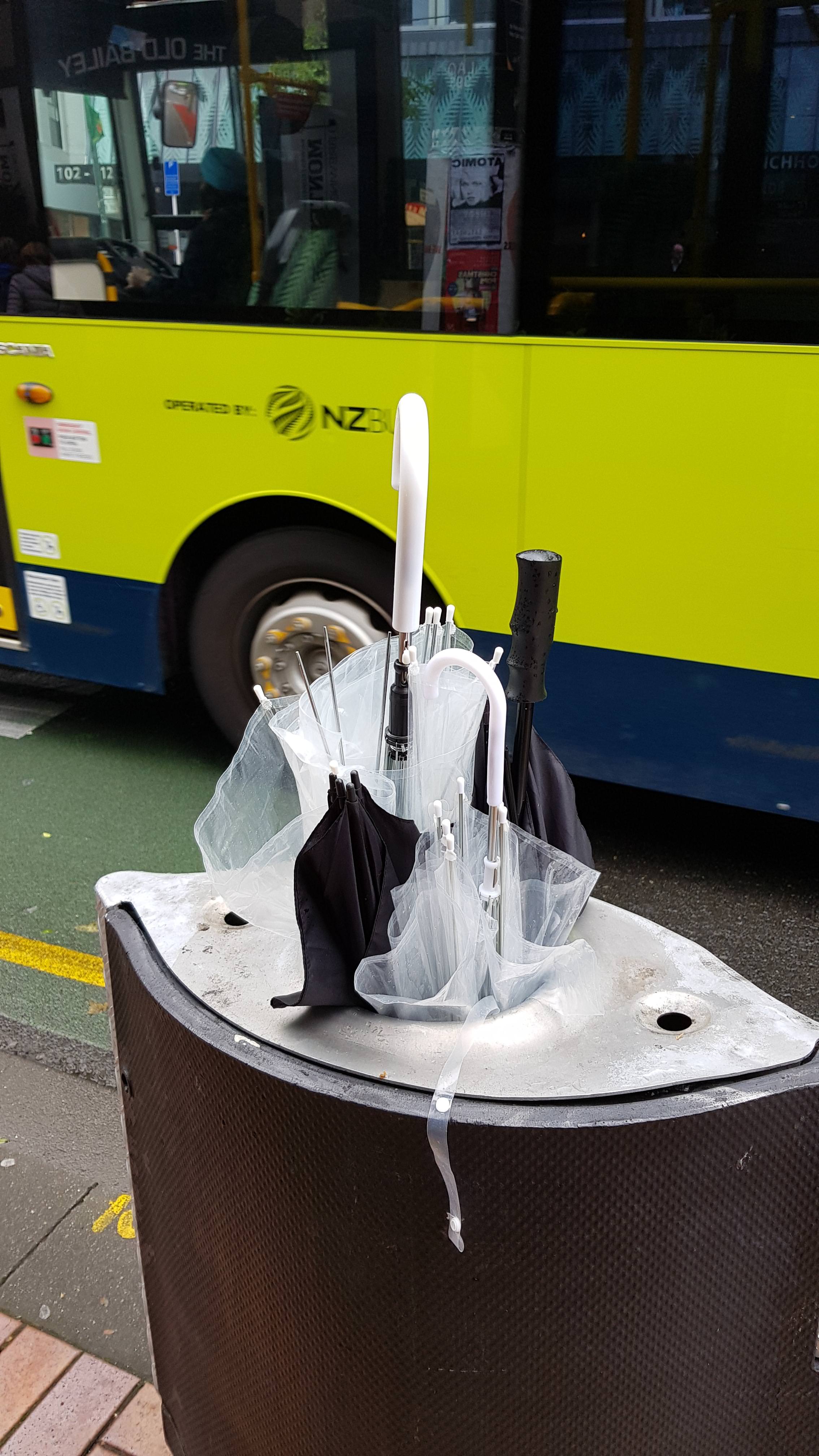 cruise-ship-sacrifices-to-the-gods-of-wellington-scrolller