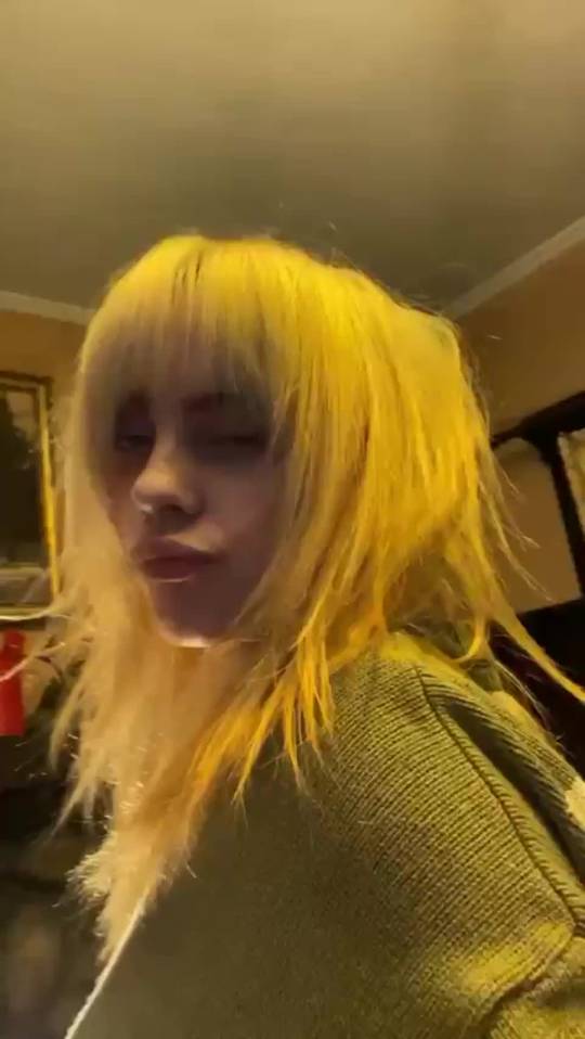 Billie Eilish has such DSL | Scrolller