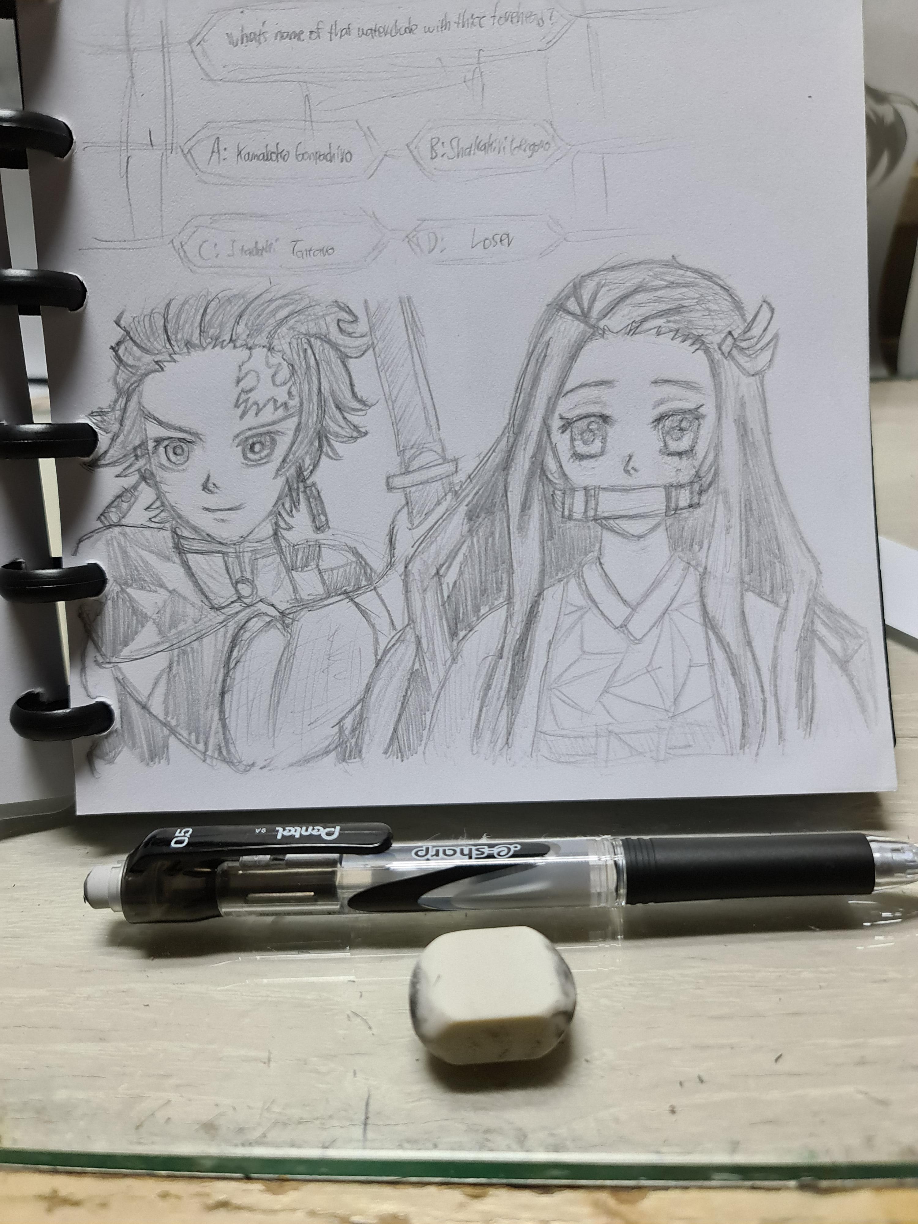 Did a quick sketch of Tanjiro & Nezuko ~ | Scrolller