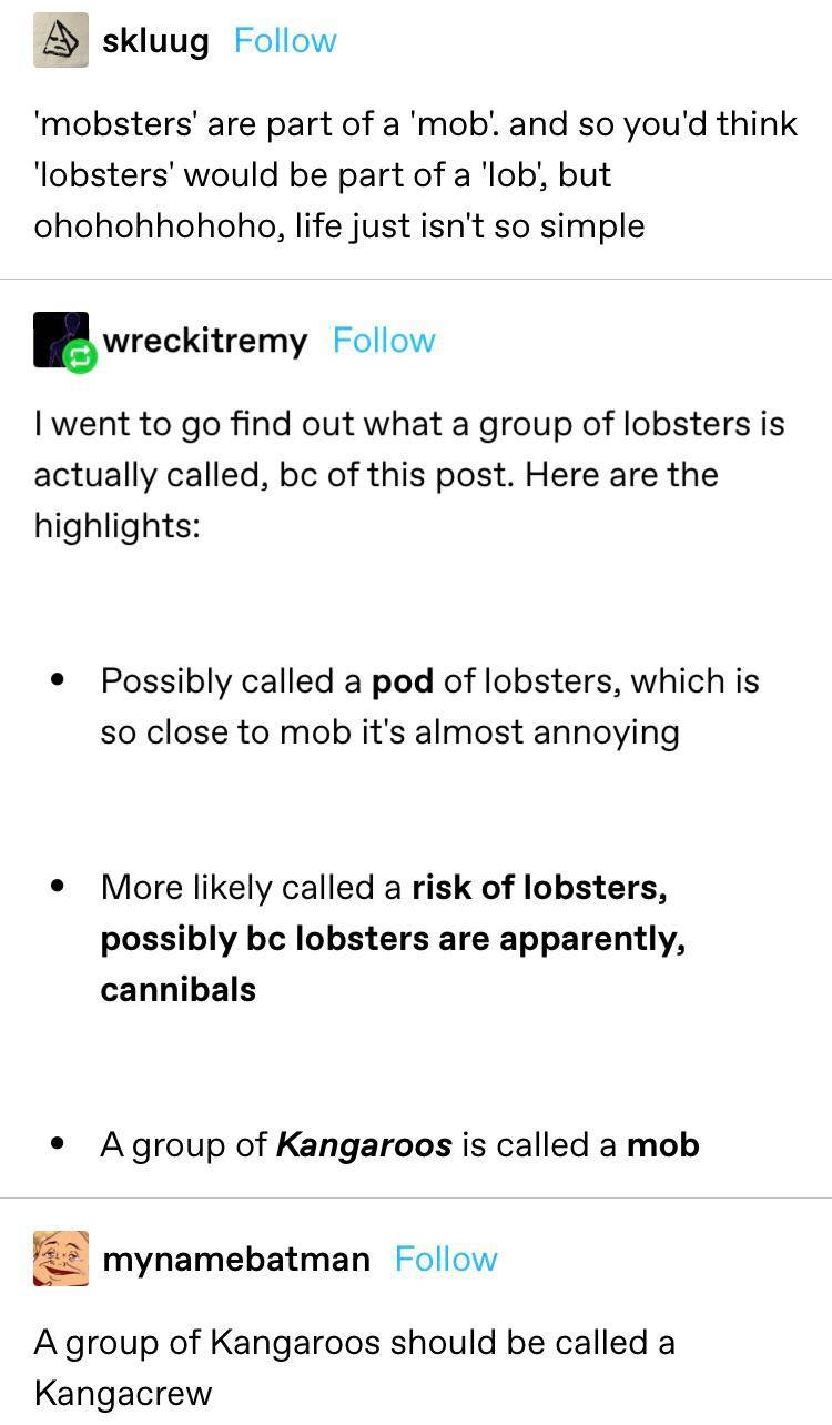 Don't let your guard down if you spill anymore tea on lobsters they're