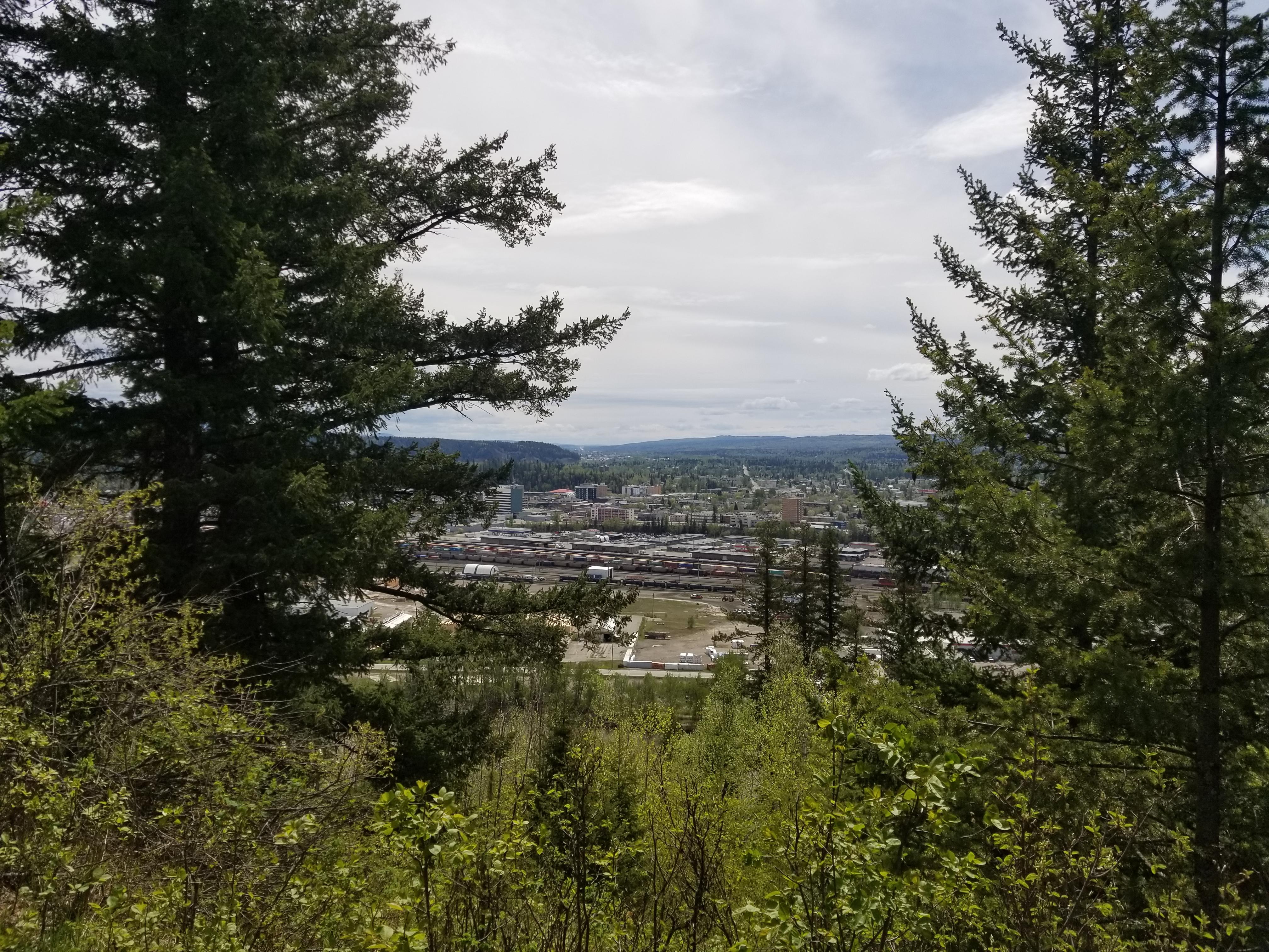 Downtown, from McMillan Creek Park Scrolller