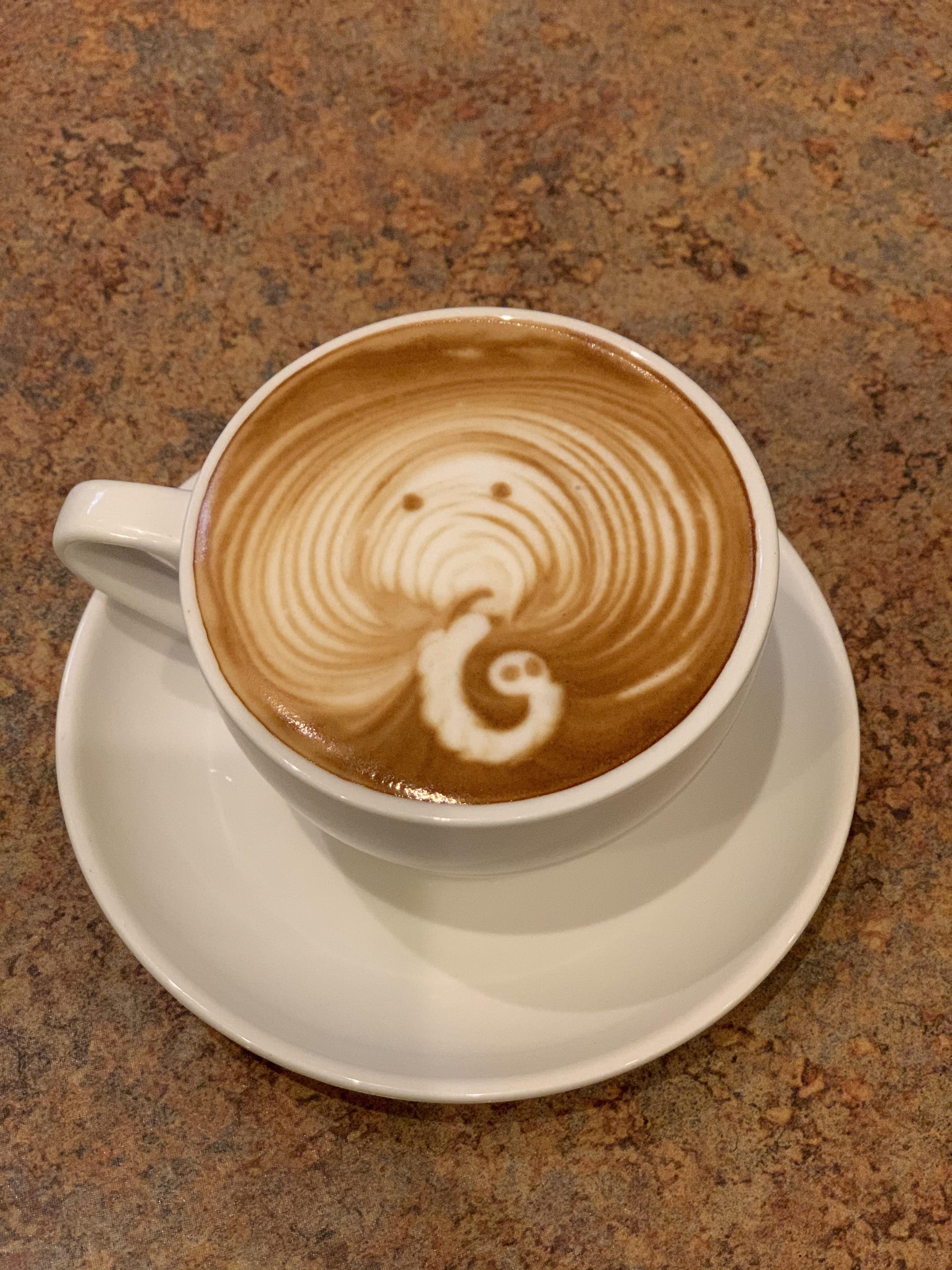 Elephant latte art Scrolller
