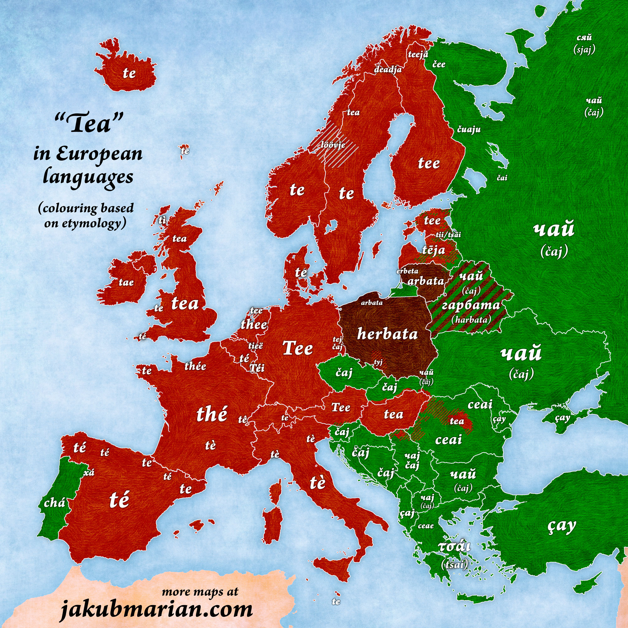 european-languages-that-borrowed-the-chinese-word-for-tea-ch