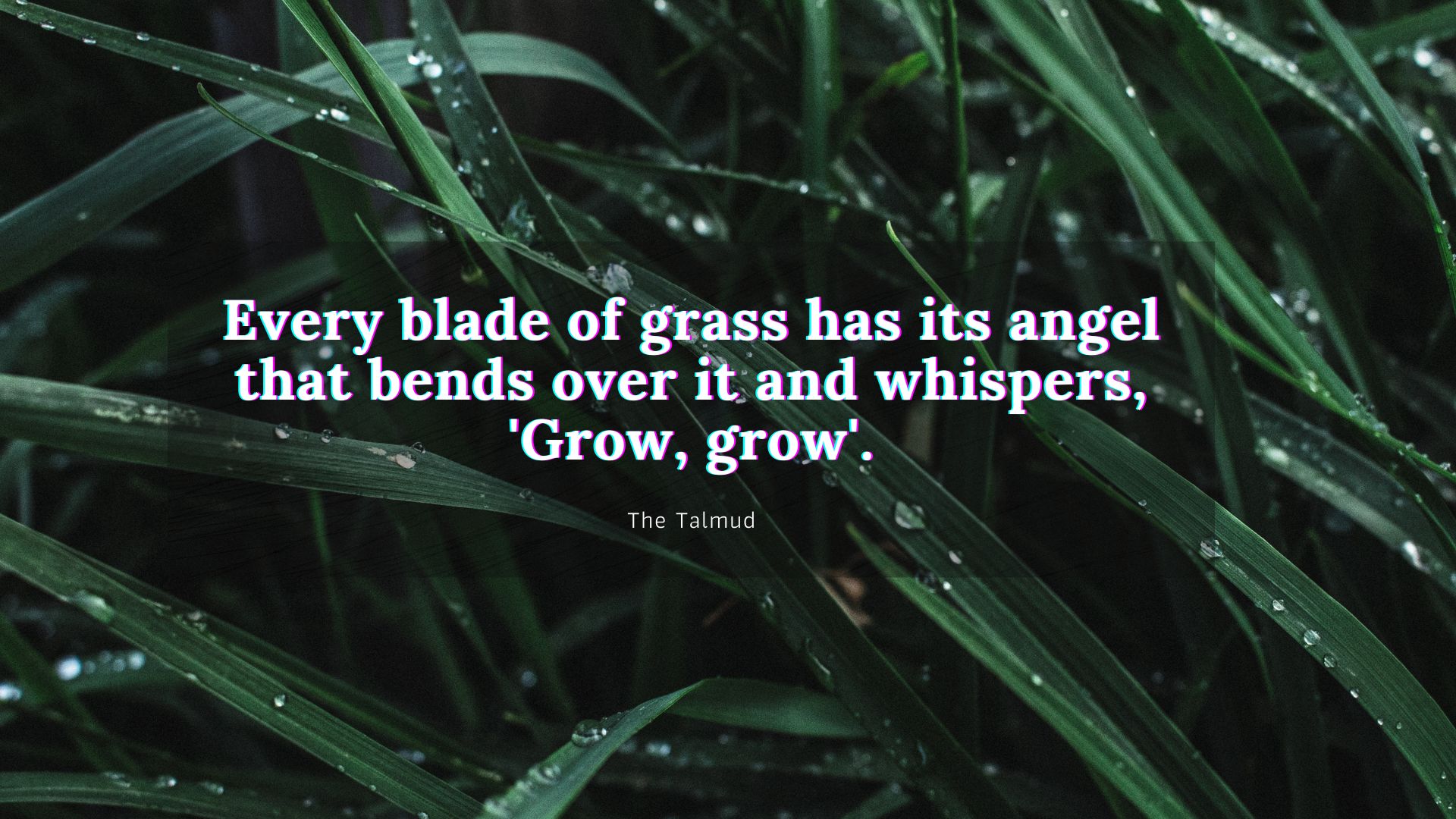 Every blade of grass has its angel that bends over it and whispers