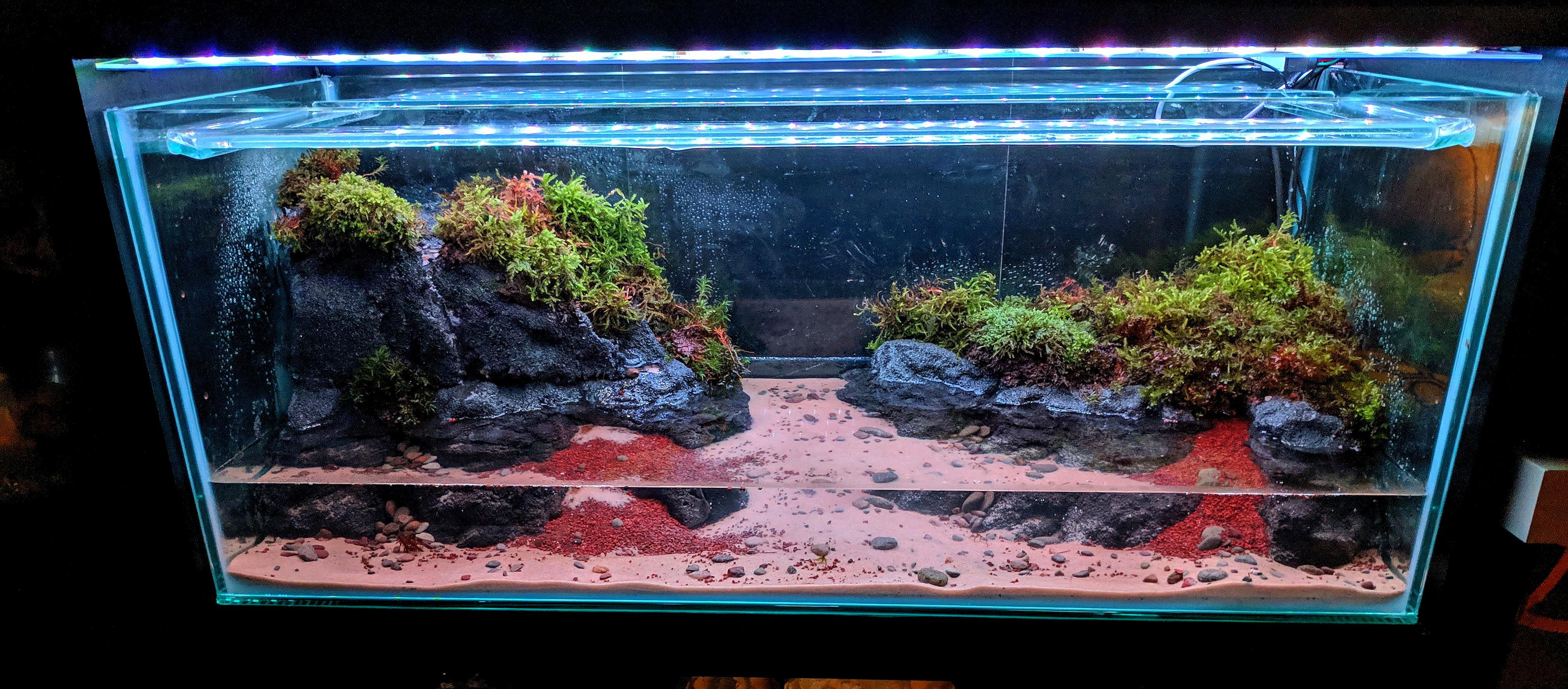 First Paludarium What Do You Think Scrolller